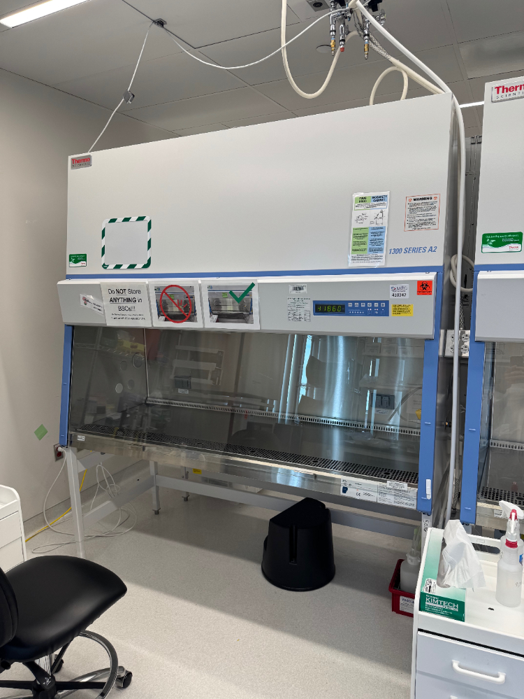 Image of Thermo 1300 Series A2 6' BioSafety Cabinet